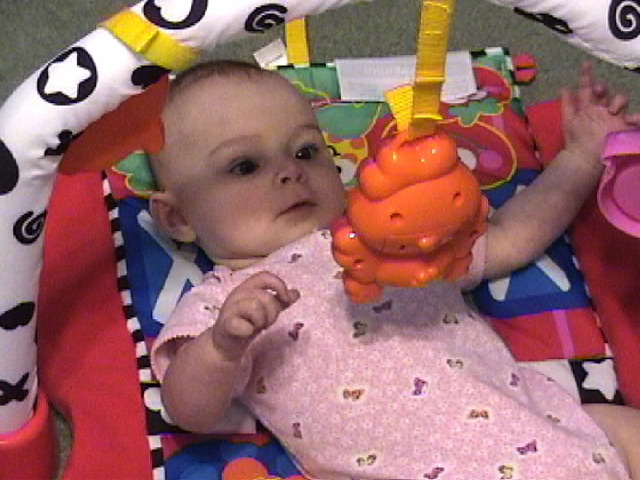Trying to Grab the Toy!