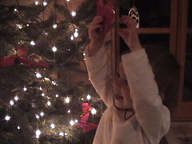 Jenna and the Christmas Tree